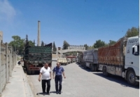السورية للحبوب: استلام 7 آلاف طن من القمح يومياً في حماة