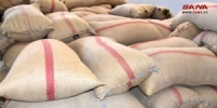 أكثر من 17 مليار ليرة سورية قيم القمح والشعير المسوقين في درعا