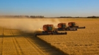 وزير الزراعة الروسي: نستطيع تصدير 55 مليون طن من الحبوب خلال هذا الموسم