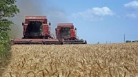 روسيا تزود 6 دول أفريقية بحوالي 50 ألف طن من الحبوب مجاناً 