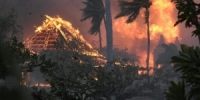 ارتفاع حصيلة ضحايا حرائق الغابات في هاواي إلى 99 شخصاً