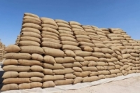 السورية للحبوب بحمص تستعد لاستقبال محصول القمح في الـ 26 من الشهر الجاري