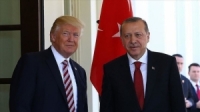 ترامب وأردوغان يبحثان ملفات أوكرانيا وسوريا وقطاع غزة